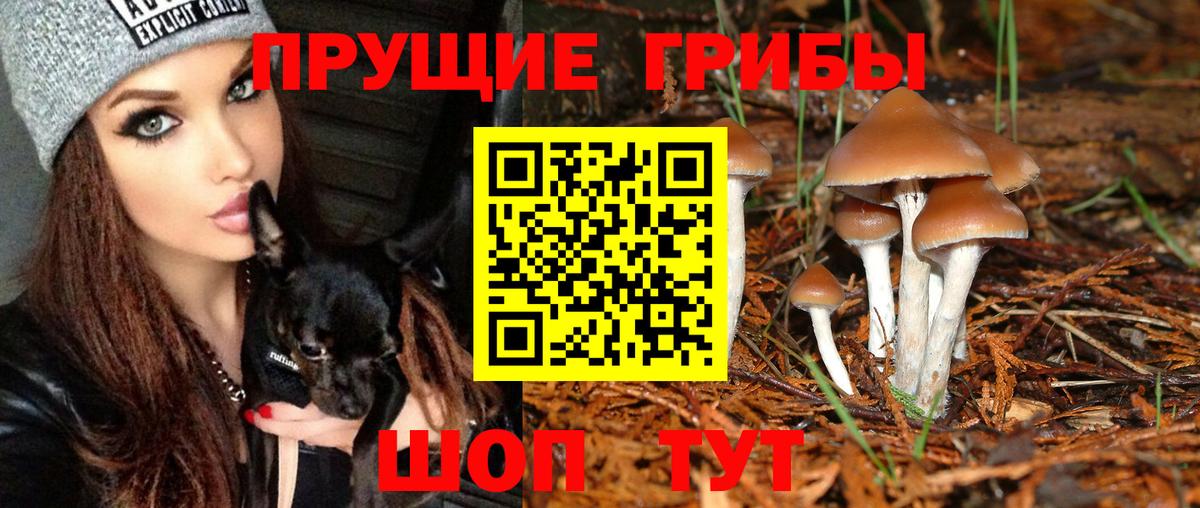 Галлюциногенные грибы мицелий Ижевск