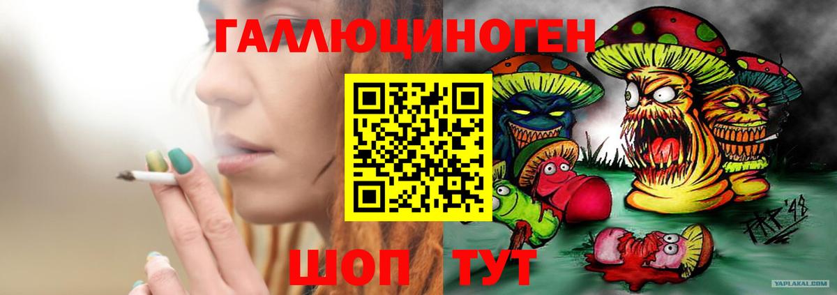 Ижевск  Псилоцибиновые грибы Psilocybine cubensis  Вход с VPN 